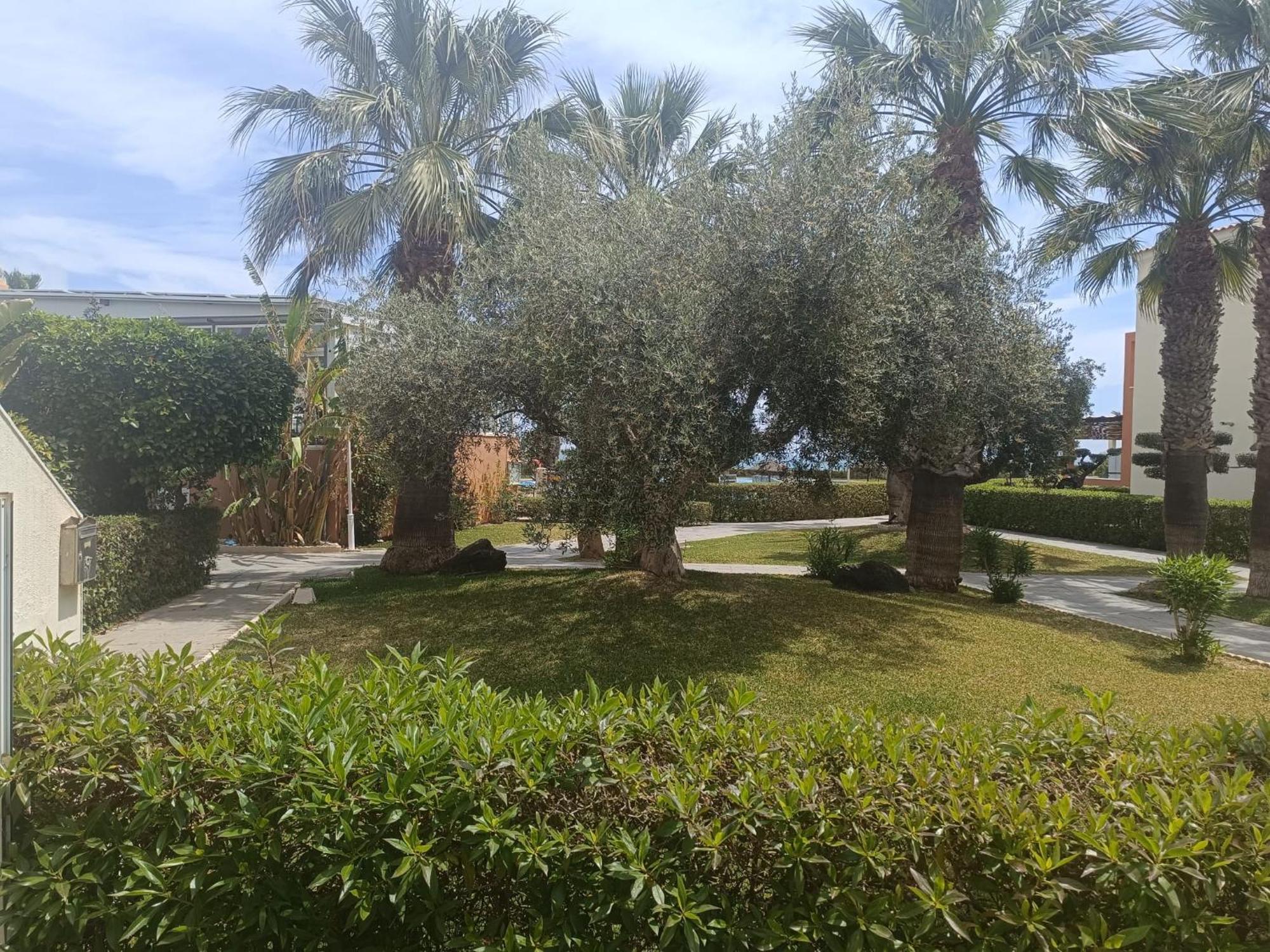 Vera Natura Apartamento Maria Dış mekan fotoğraf
